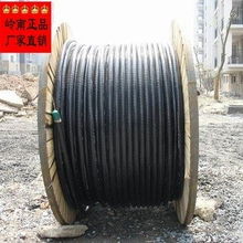 广州岭南电缆股份 电气设备用电缆产品与计算机软硬件技术开发综述