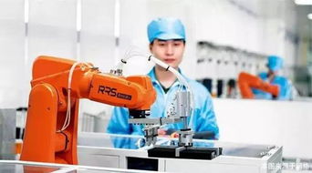 机器人课程内容概览 聚焦计算机软硬件技术的开发与应用